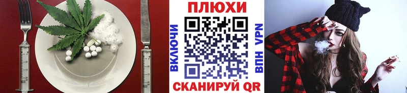Canna-Cookies конопля Сланцы