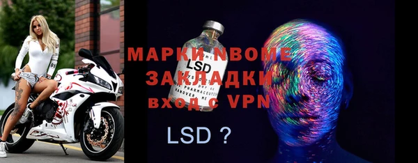 прущие грибы Беломорск