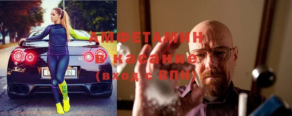 прущие грибы Беломорск