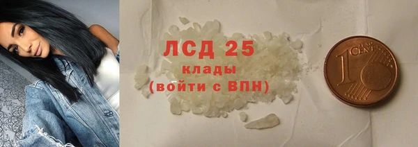 прущие грибы Беломорск