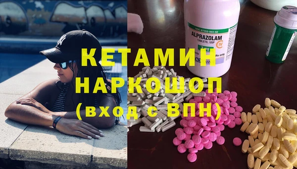 твердый Сосновый Бор