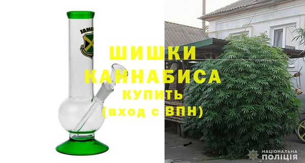 прущие грибы Беломорск