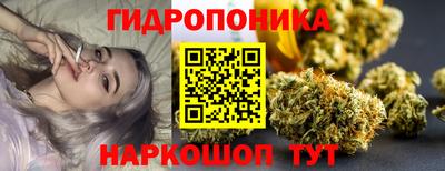 МДПВ Кингисепп