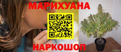 спиды Кинель