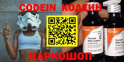 МДПВ Кингисепп