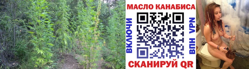 ТГК жижа  Сланцы 