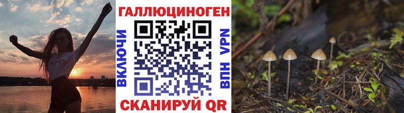 Галлюциногенные грибы GOLDEN TEACHER Сланцы