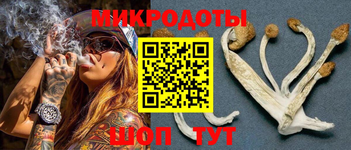 Псилоцибиновые грибы GOLDEN TEACHER Сланцы